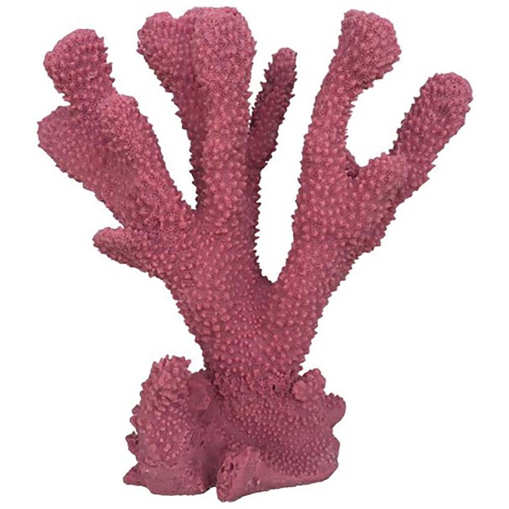 Weco Products South Pacific Coral Cats Paw Ornament Rose, 1ea/MD