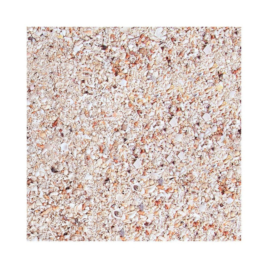 Nature's Ocean Hawaiian Puka Shell Premium Reef Substrate #5, 1ea/15 lb