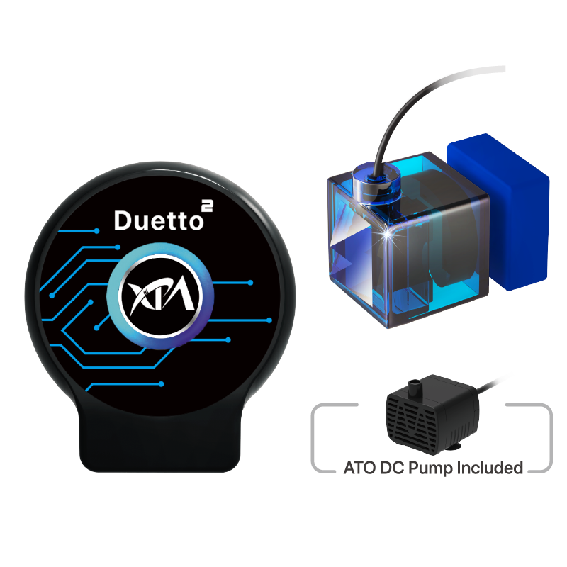 Duetto 2 ATO System XP Aqua