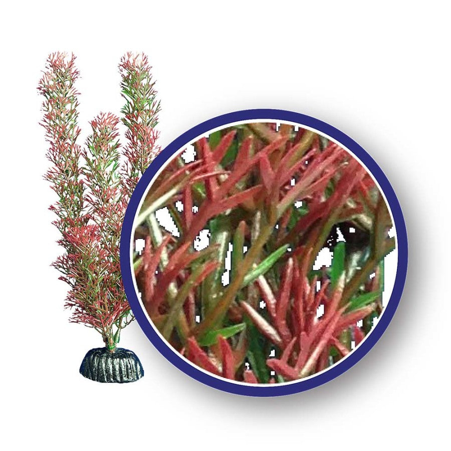 Weco Products Freshwater Series Foxtail Aquarium Plant Red, 1ea/18 in