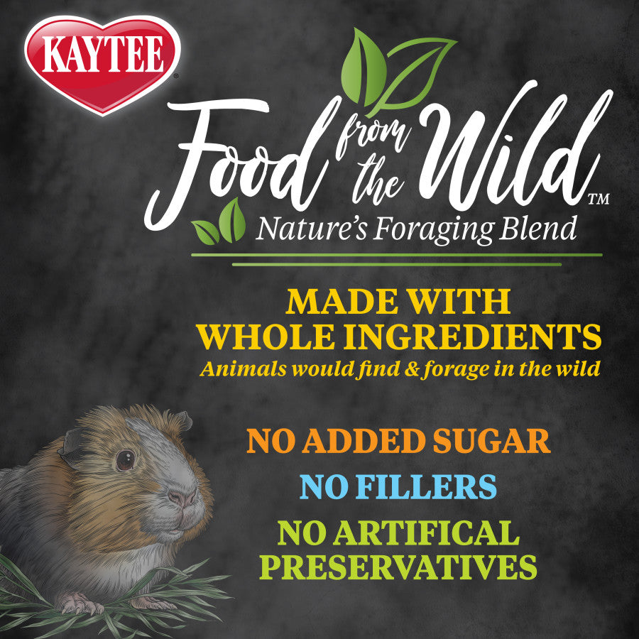 Kaytee Food From The Wild Guinea Pig 1ea/4 lb