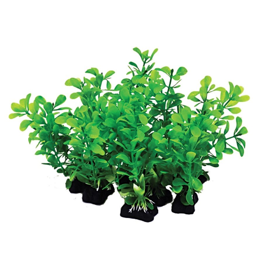 Aquatop Aquarium Plants Mix Green, 1ea/6 in, 12 pk