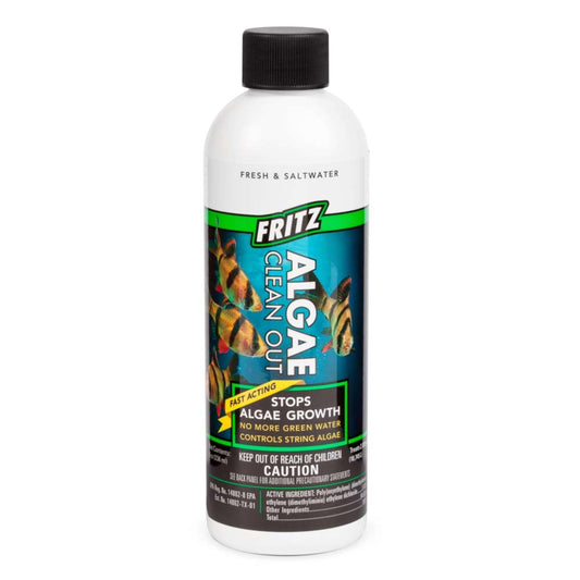 Fritz Algae Clean Out 1ea/8 fl oz