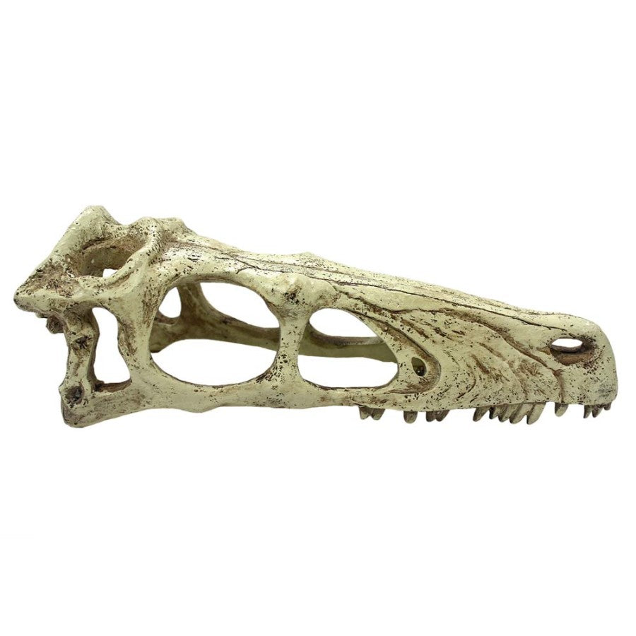 Komodo Raptor Skull Reptile Hideout Tan, 1ea/LG