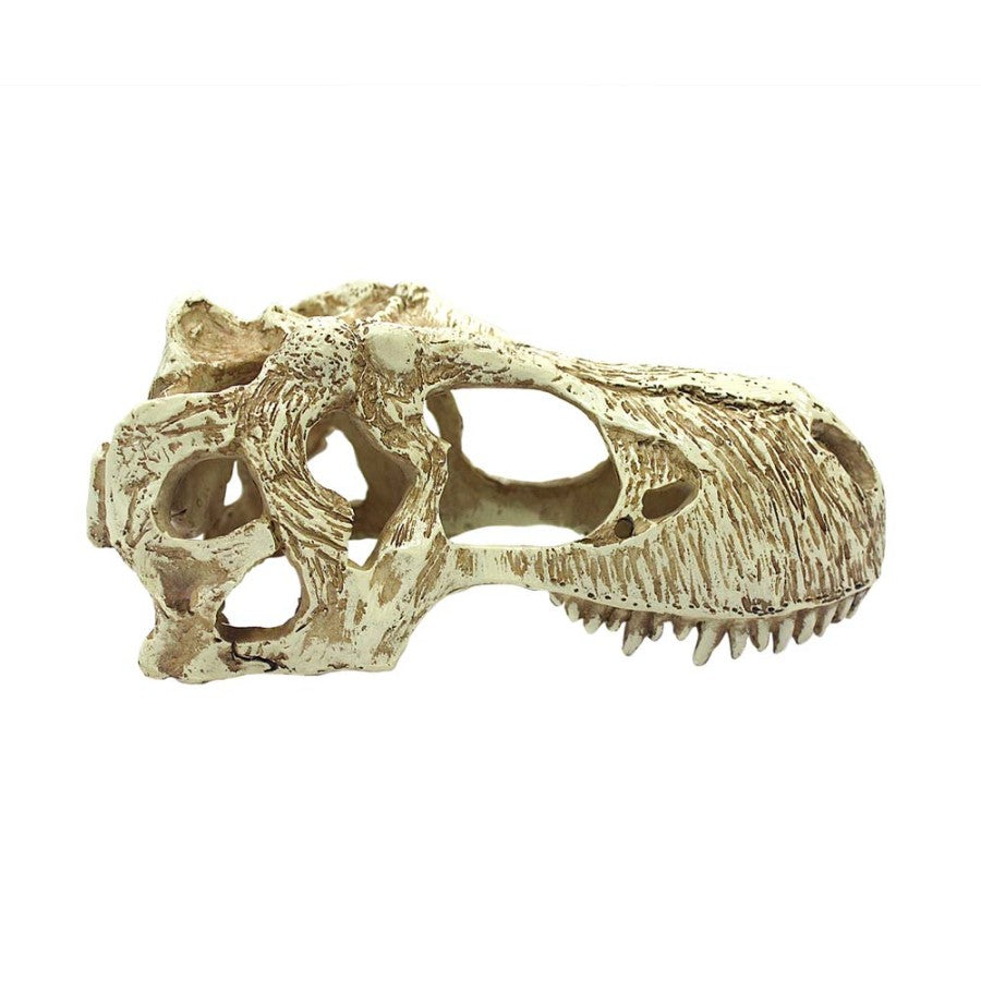 Komodo T-Rex Skull Reptile Hideout Tan, 1ea/LG