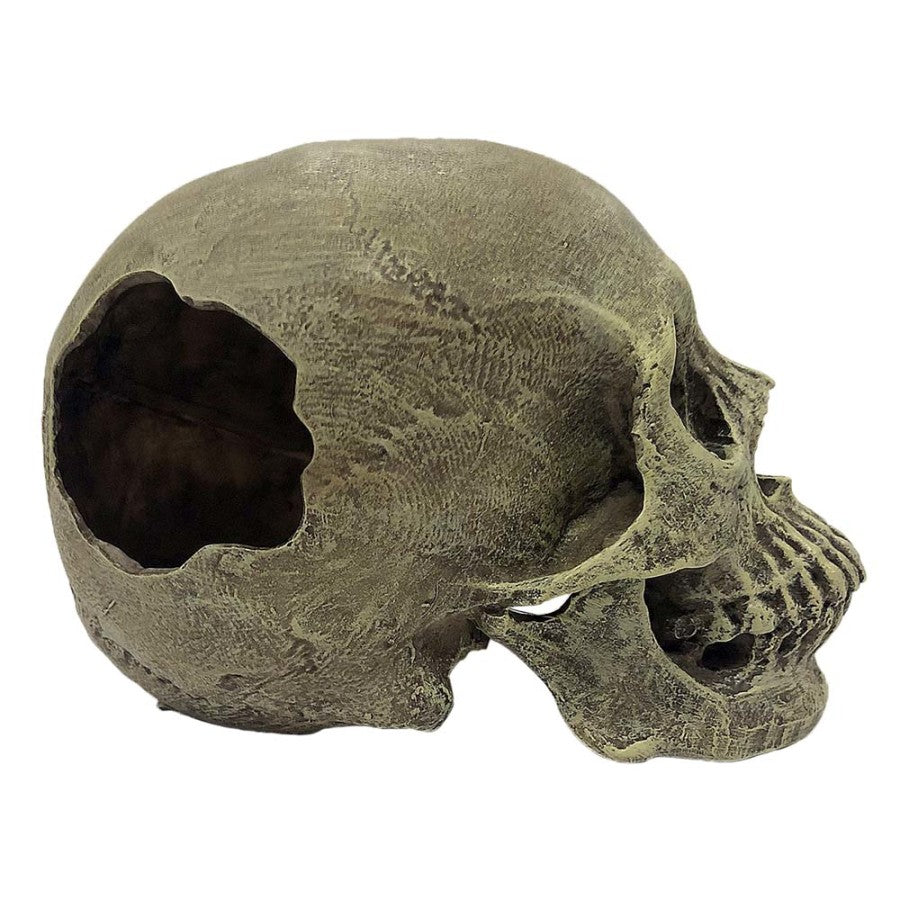 Komodo Full Human Skull Reptile Hideout Gray, 1ea/One Size