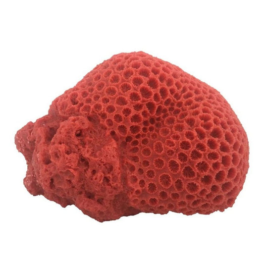 Weco Products South Pacific Coral Brain Ornament Orange, 1ea/LG