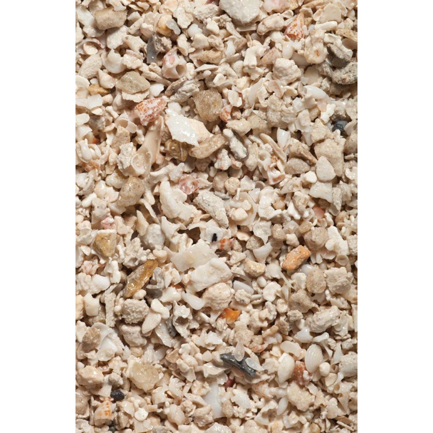 CaribSea Geo-Marine Florida Crushed Coral Substrate 4ea/10 lb