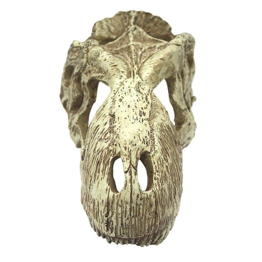 Komodo T-Rex Skull Reptile Hideout Tan, 1ea/LG