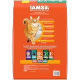 IAMS Proactive Health Hairball Care Adult Dry Cat Food Chicken & Salmon, 1ea/16 lb