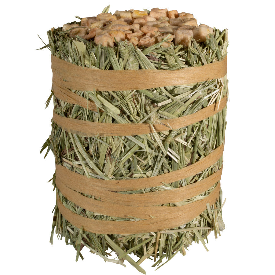 Kaytee Field+Forest Mini Hay Bales Apple 1ea/3.5 oz