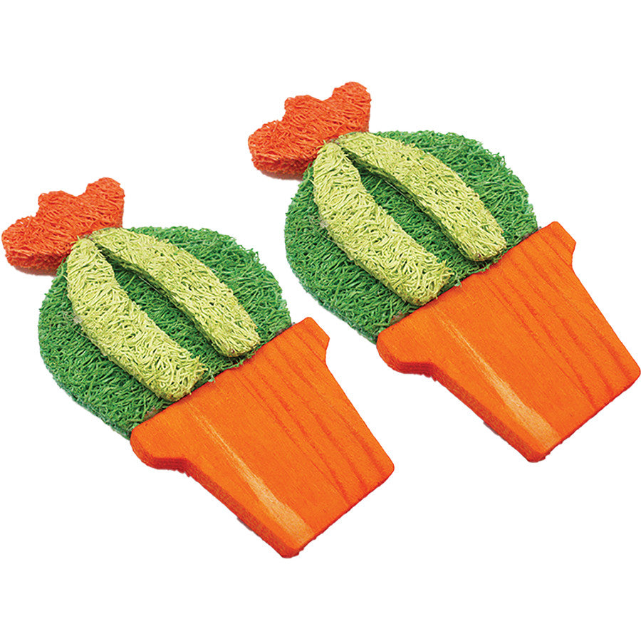 A & E Cages Nibbles Small Animal Loofah Chew Toy Barrel Cactus, 1ea