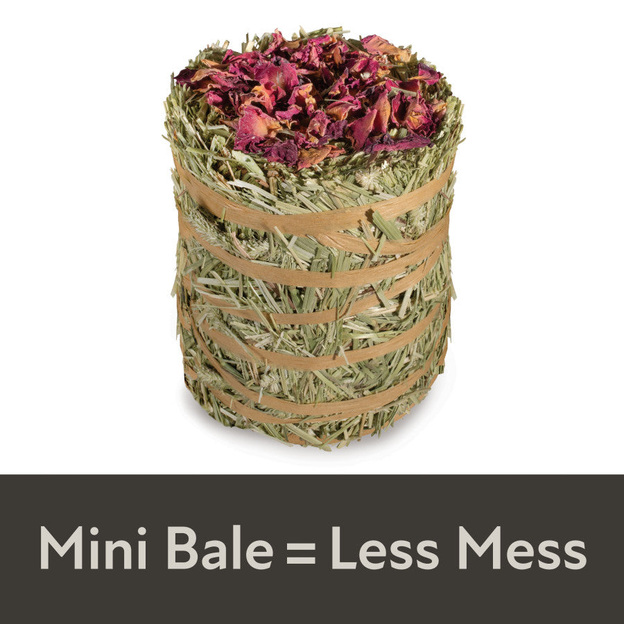 Kaytee Field+Forest Mini Hay Bales Rose Rose, 1ea/3.5 oz