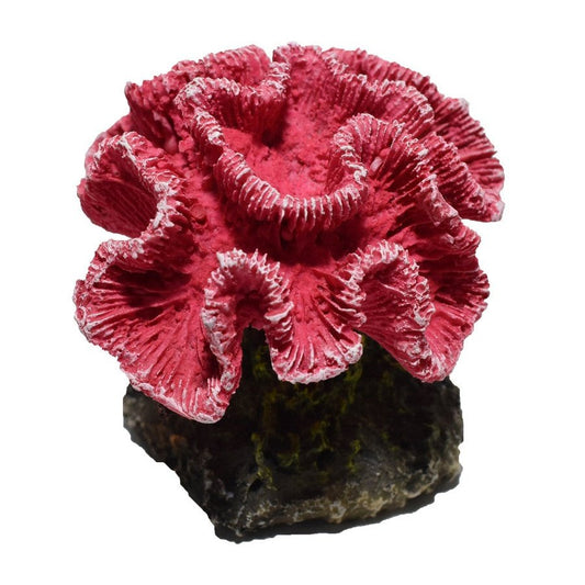 Hikari USA Marine Series Coral Resin Ornament 1ea/2.9 in