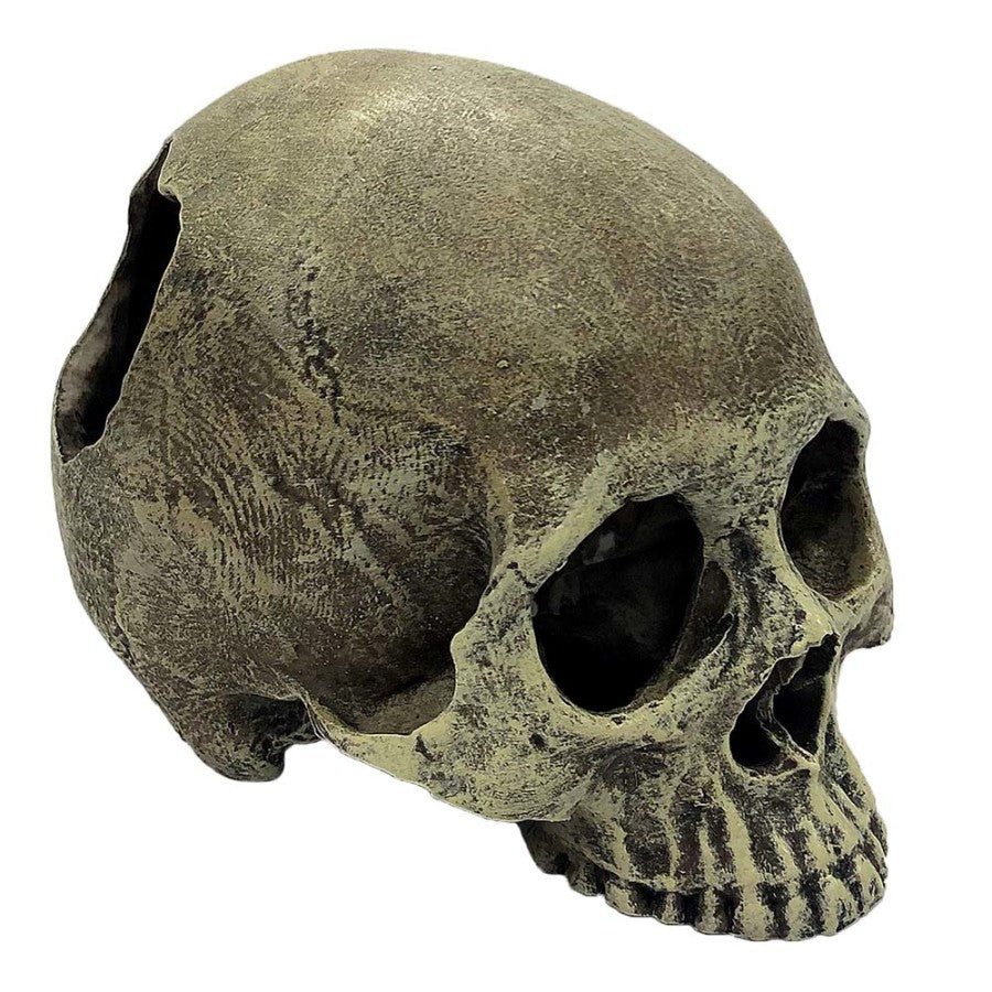 Komodo Half Human Skull Reptile Hideout Gray, 1ea/One Size