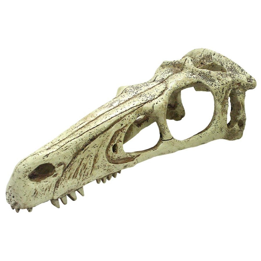 Komodo Raptor Skull Reptile Hideout Tan, 1ea/XL