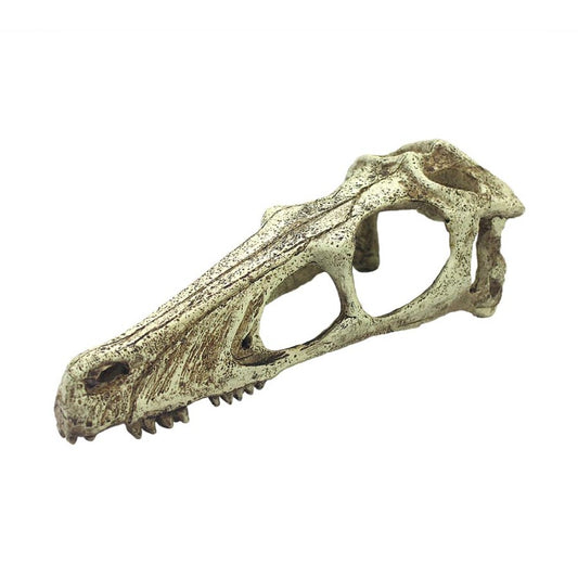 Komodo Raptor Skull Reptile Hideout Tan, 1ea/LG