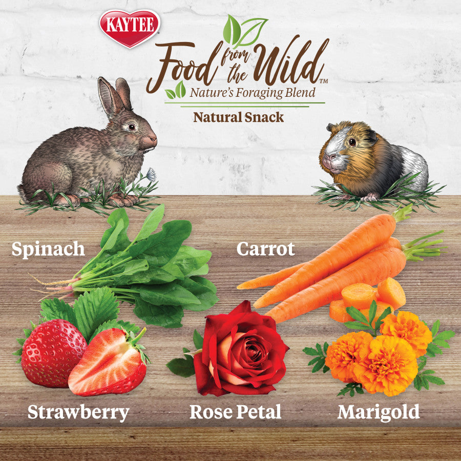 Kaytee Food From the Wild Natural Snack Rabbit and Guinea Pig, 1ea/1 oz