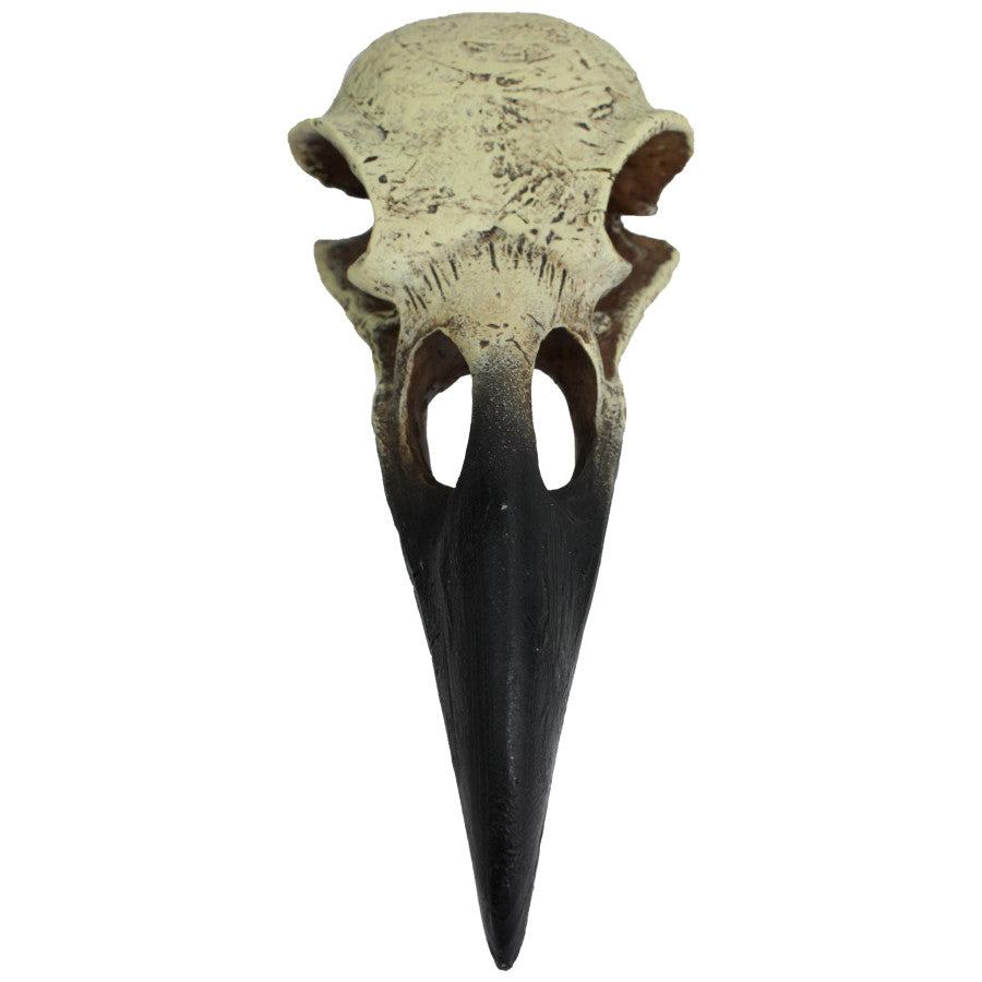 Komodo Raven Skull Hideout 1ea/LG, 18 in