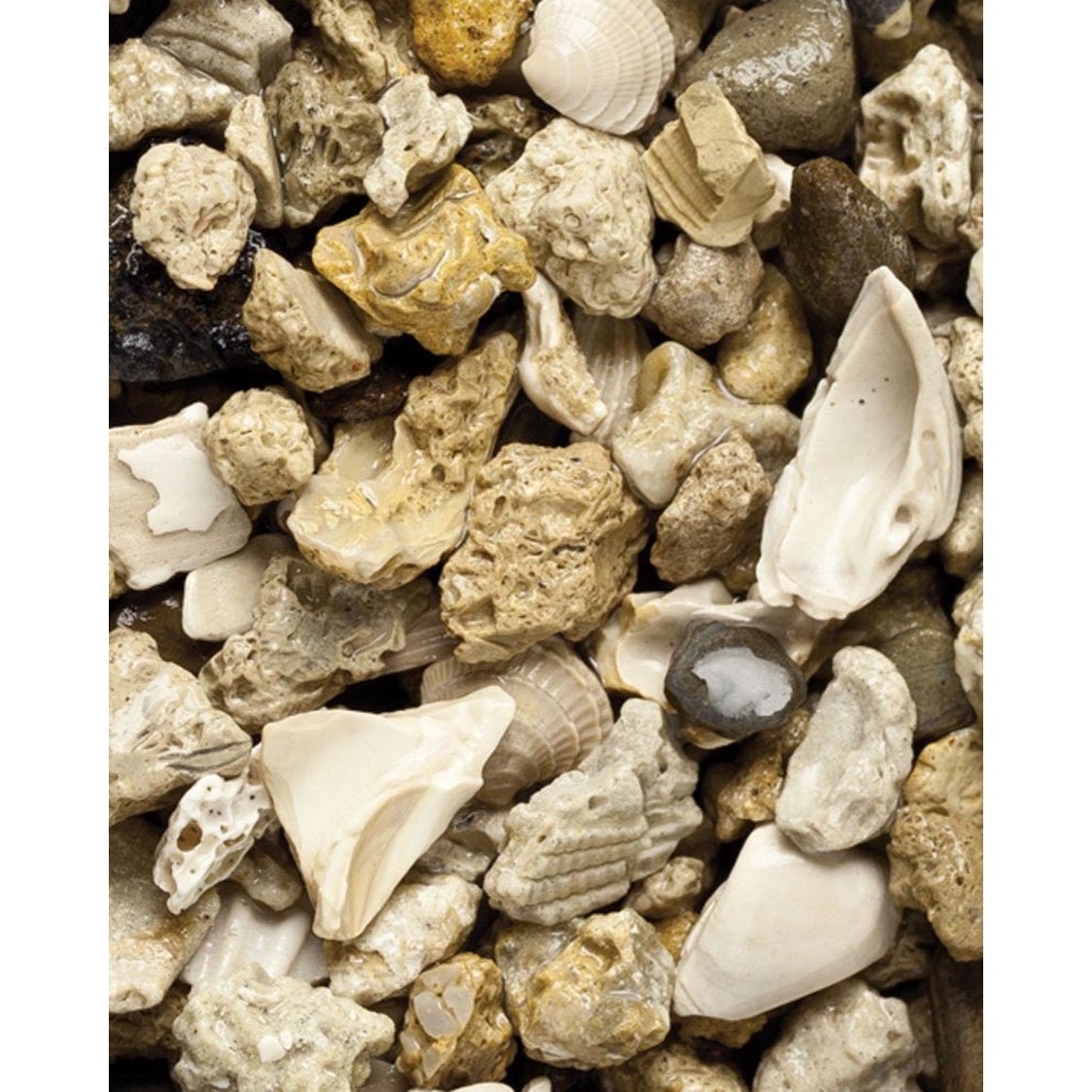 CaribSea African Cichlid Mix Original Gravel 1ea/20 lb