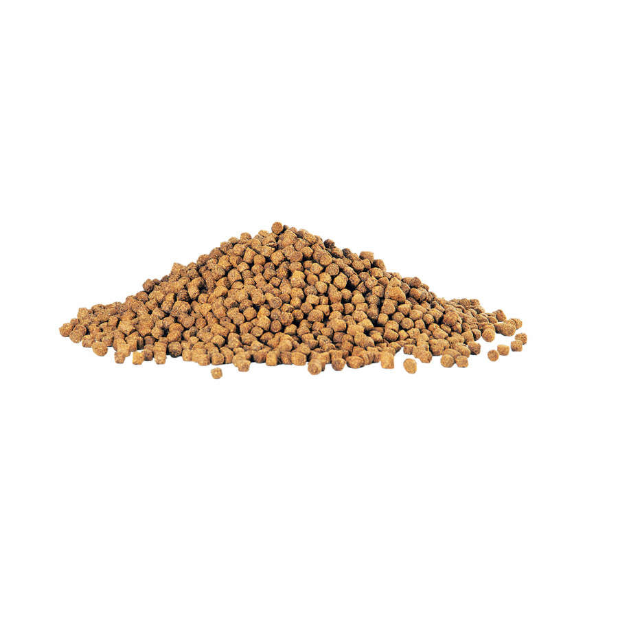 Aqueon Cichlid Food 1ea/Medium 7.5 oz