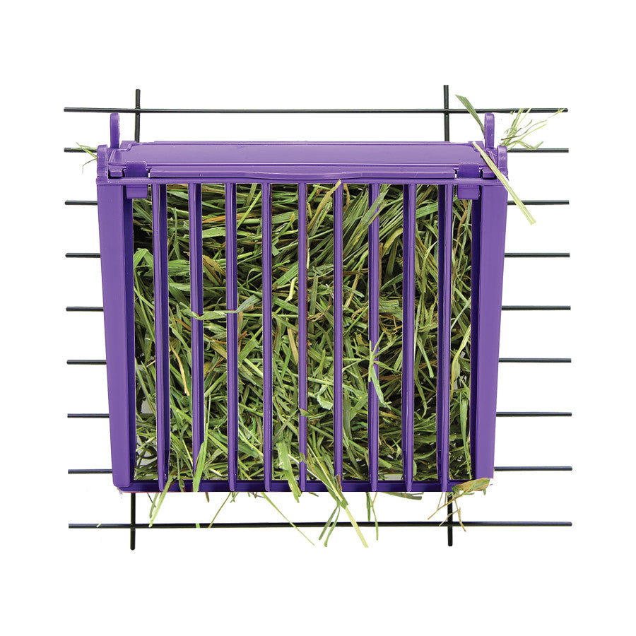 Kaytee Hay Buffet Feeder with Snap-Lock Lid Assorted, 1ea/3.75 in X 7 in X 10.25 in