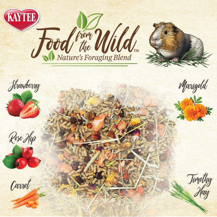 Kaytee Food From The Wild Guinea Pig 1ea/4 lb