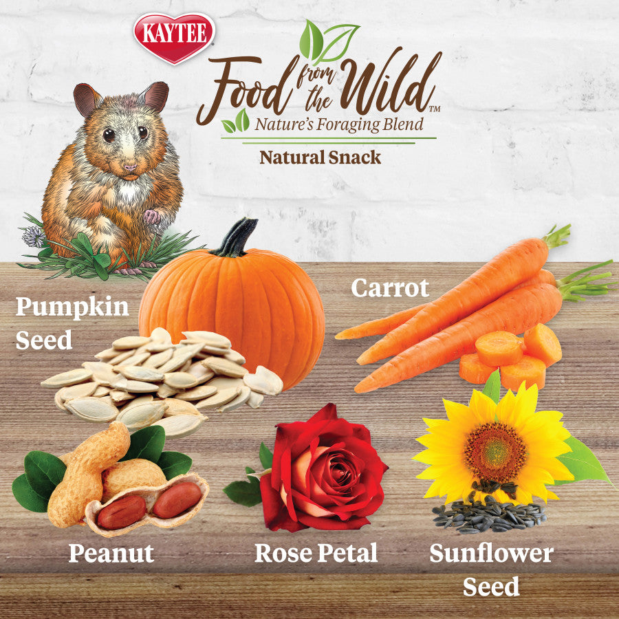 Kaytee Food from the Wild Natural Snack Hamster and Gerbil 1ea/2 oz