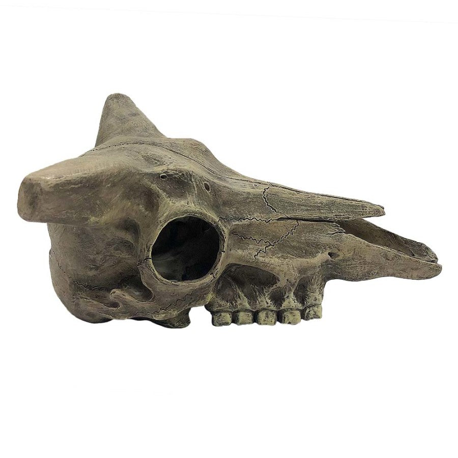 Komodo Deer Skull Reptile Hideout Gray, 1ea/One Size