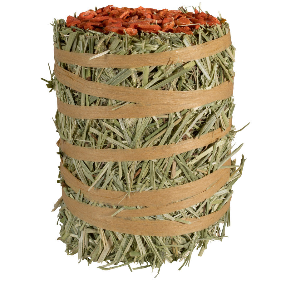 Kaytee Field+Forest Mini Hay Bale Carrot 1ea/3.5 oz