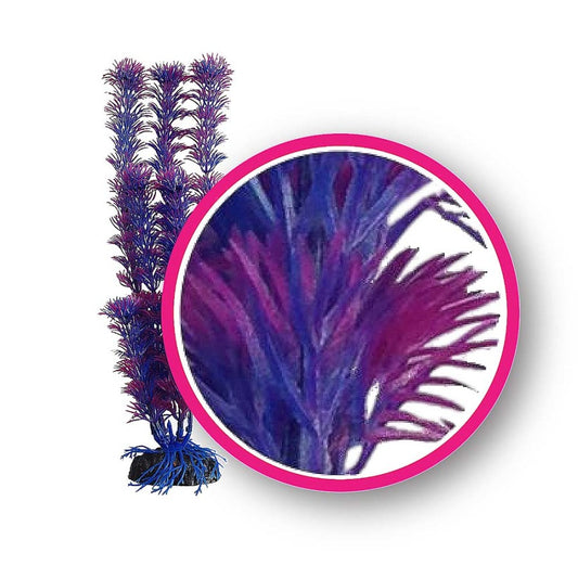 Weco Products Dream Series Fuschia Fern Aquarium Plant Pink, Purple, 1ea/6 in