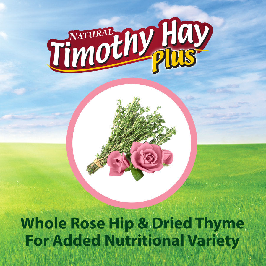 Kaytee Timothy Hay Plus Rose and Thyme 1ea/24 oz