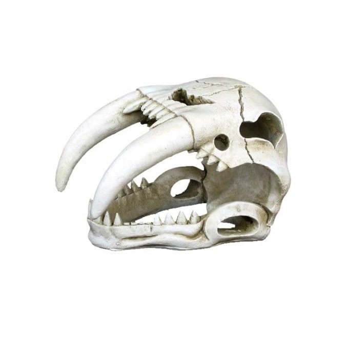 Weco Products Wecorama Catacombs Sabertooth Skull Aquarium Ornament White, 1ea