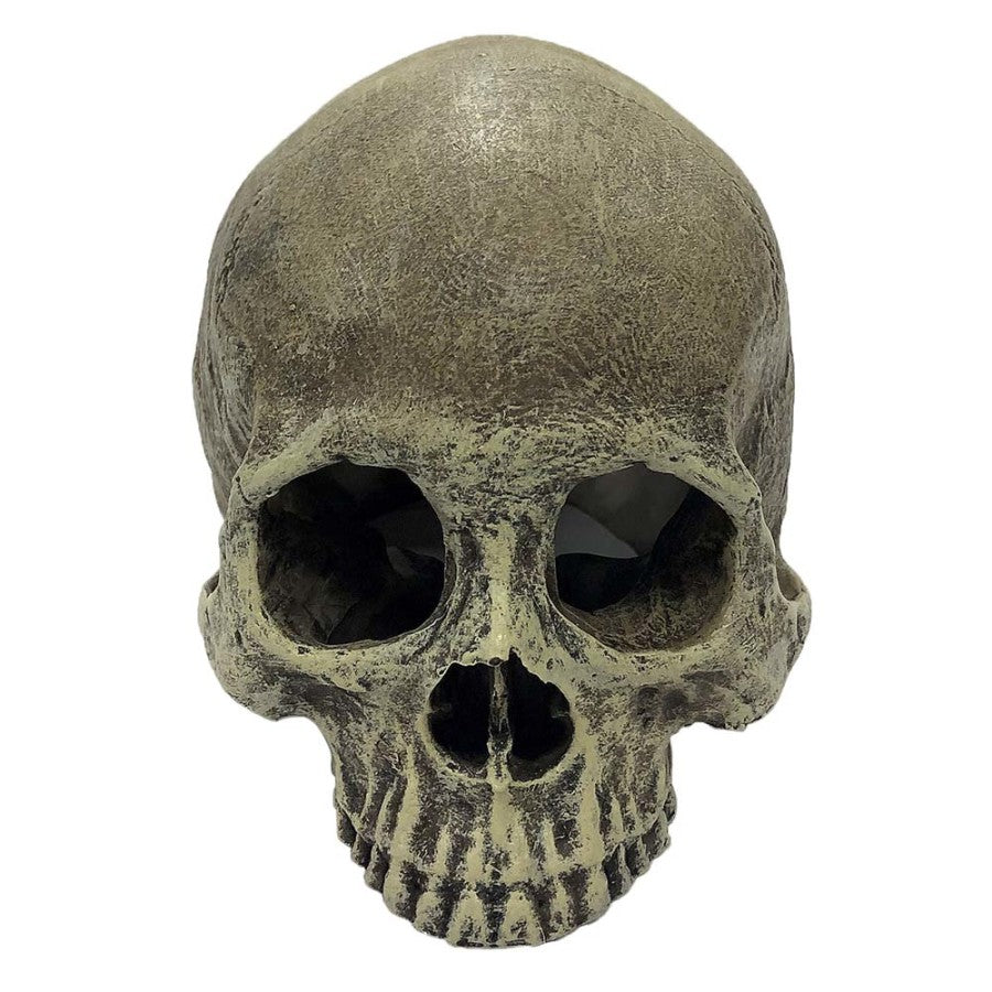 Komodo Half Human Skull Reptile Hideout Gray, 1ea/One Size