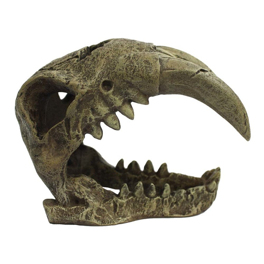 Komodo Larger Saber Tooth Reptile Hideout