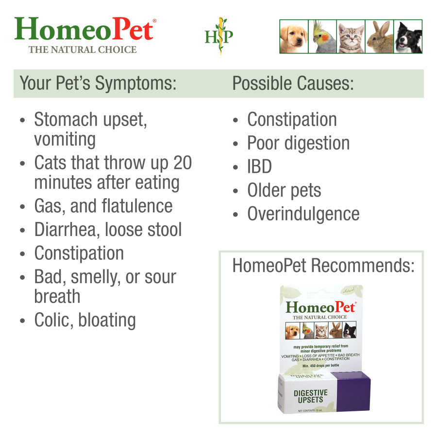 HomeoPet Digestive Upsets 1ea/15 ml