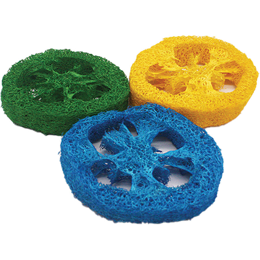 A & E Cages Nibbles Small Animal Loofah Chew Toy Slices, 1ea