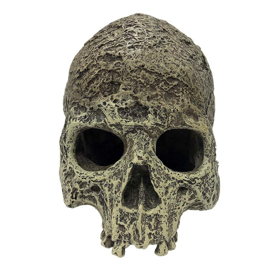 Komodo Textured Human Skull Reptile Hideout Gray, 1ea/One Size