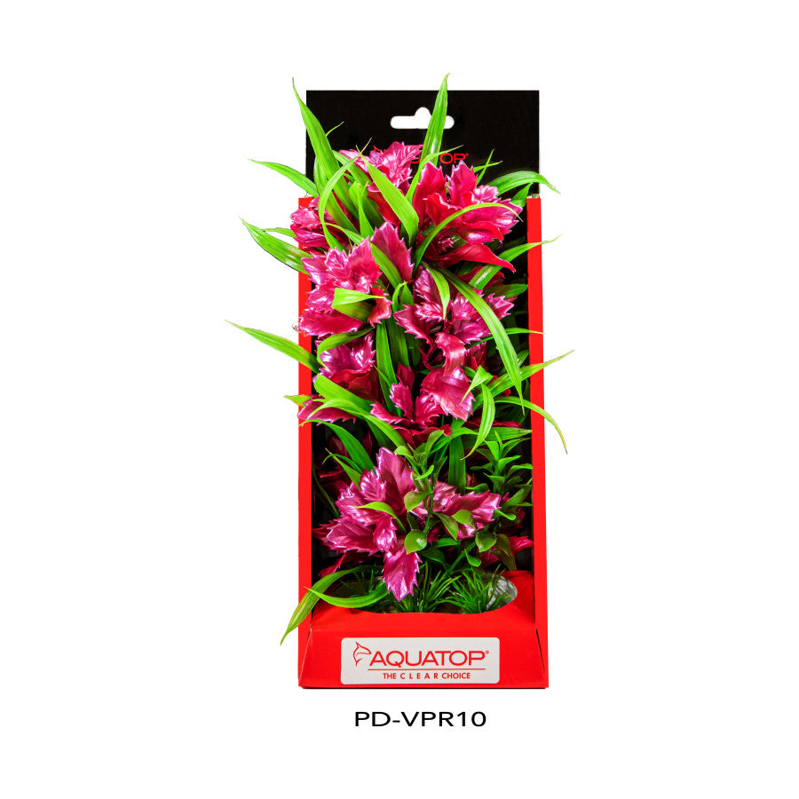 Aquatop Vibrant Passion Plant Rose, 1ea/10 in