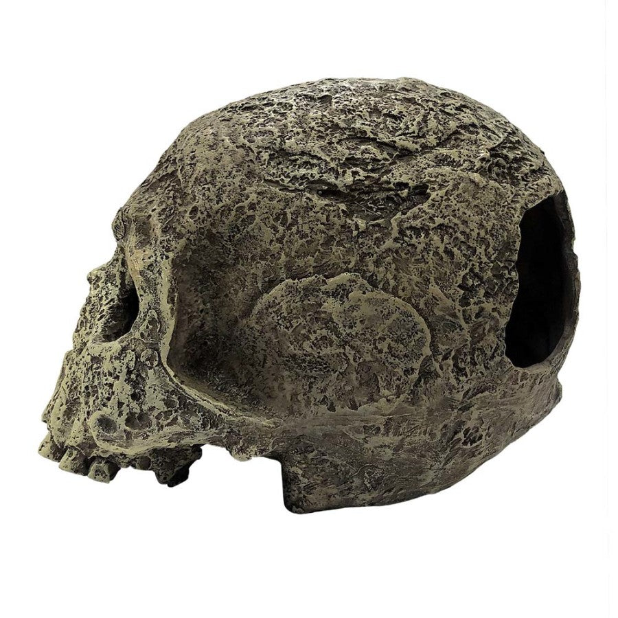 Komodo Textured Human Skull Reptile Hideout Gray, 1ea/One Size