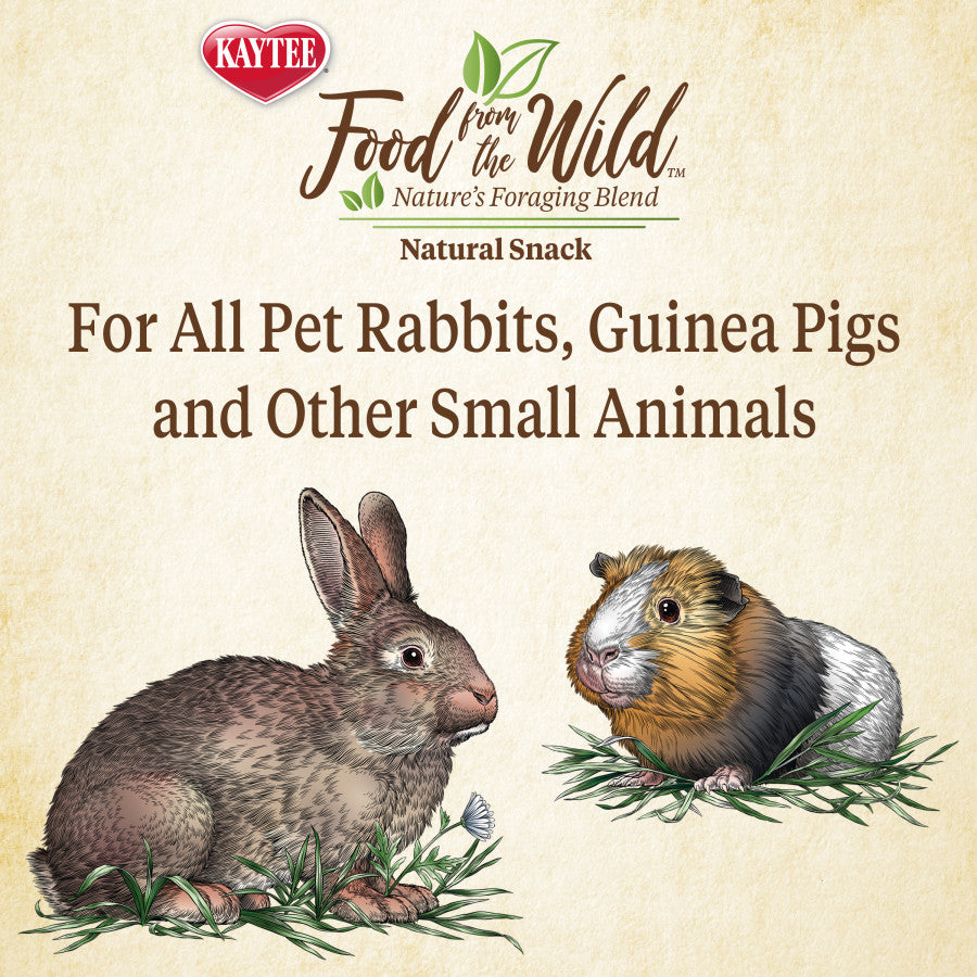 Kaytee Food From the Wild Natural Snack Rabbit and Guinea Pig, 1ea/1 oz