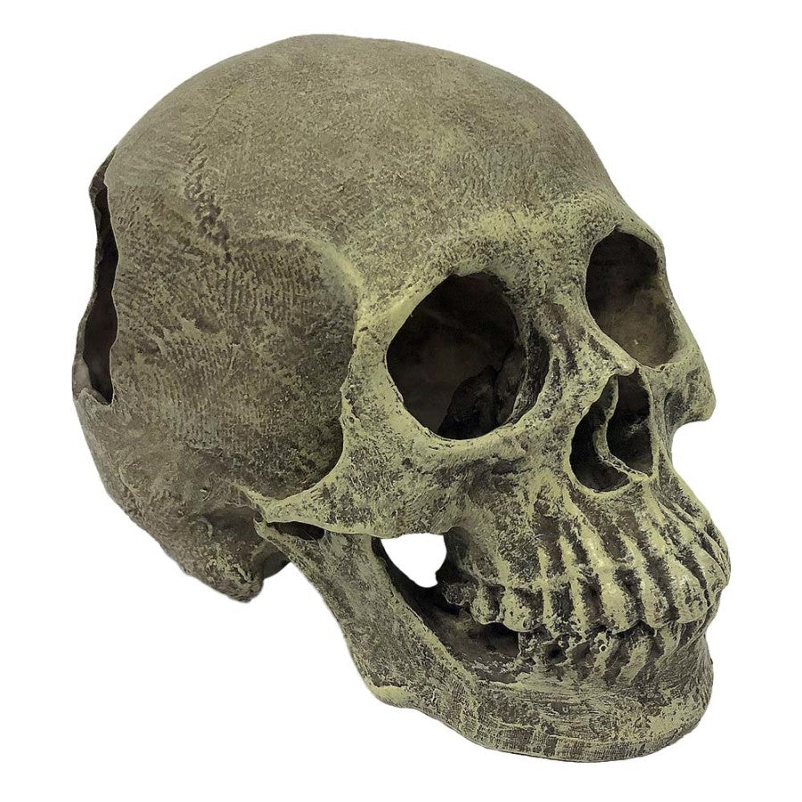 Komodo Full Human Skull Reptile Hideout Gray, 1ea/One Size